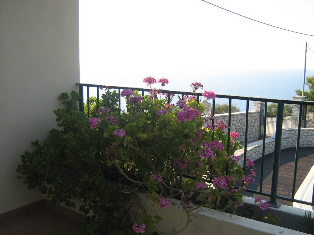 Villa Milia Ayios Nikitas Bagian luar foto